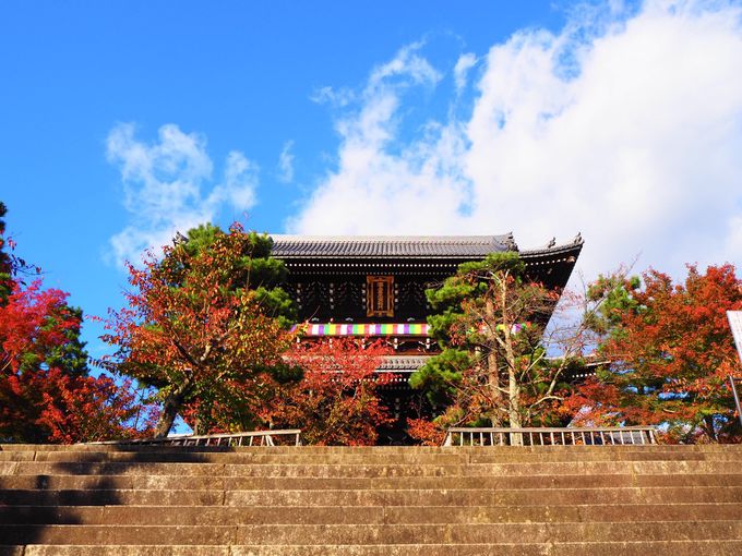 京都 秋の特別公開 金戒光明寺 紅葉の庭園と山門絶景 京都府 トラベルjp 旅行ガイド