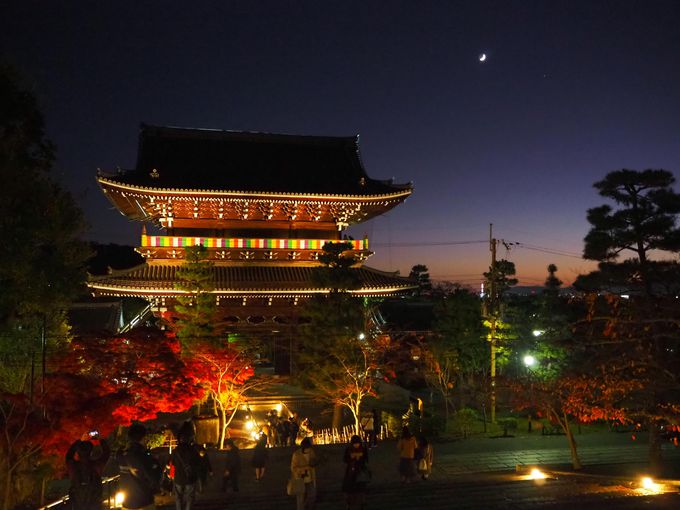 荘厳！山門ライトアップと紅葉 京都「金戒光明寺」特別拝観 | 京都府