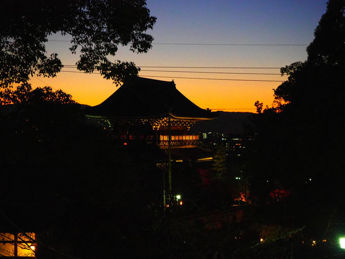 荘厳 山門ライトアップと紅葉 京都 金戒光明寺 特別拝観 京都府 トラベルjp 旅行ガイド