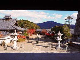 雪の庭で名高い京都・洛北「妙満寺」は秋の紅葉も美しい！