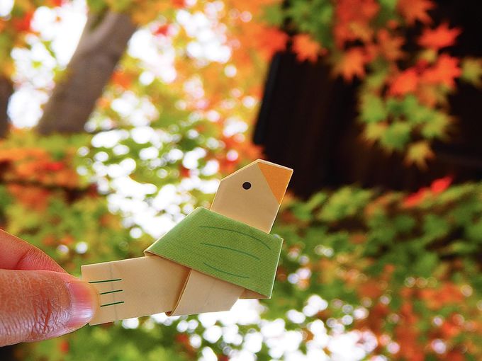 鳥のおみくじや手水も 京都市 粟田神社 のお茶目な魅力 京都府 Lineトラベルjp 旅行ガイド