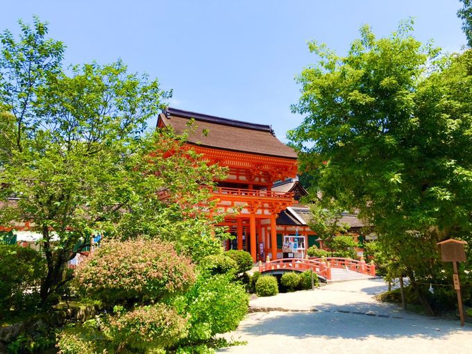 緑に映える鳥居も美しい！「上賀茂神社」