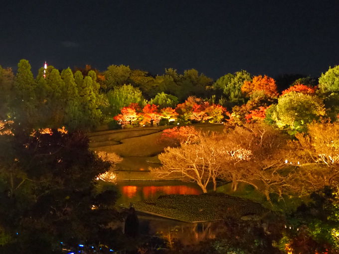 京都駅から近い紅葉の穴場！ライトアップもある「朱雀の庭」