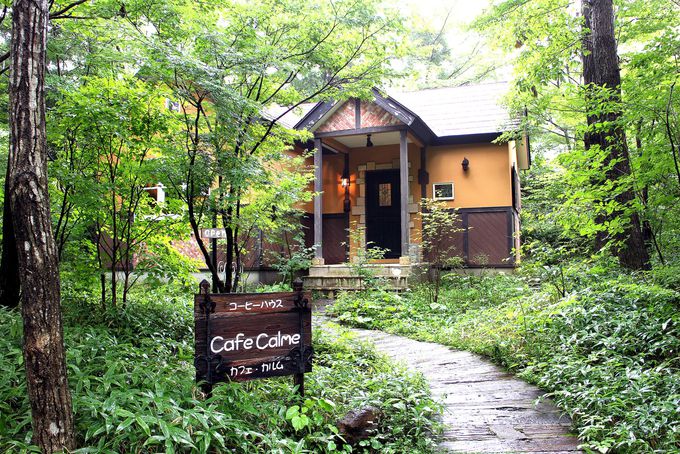 ̑̒゠Cafe CalmeiJjŎ̎