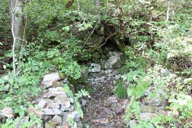 ���Âɒn�ꐢ�E��!?�u���R�����v�͓��{�̃~�X�e���[�]�[���̋L���T���l�C��