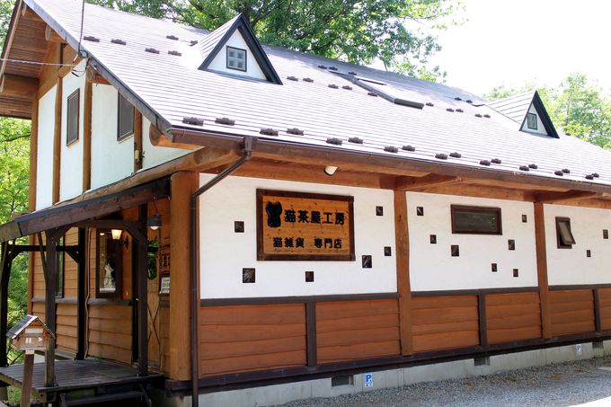 ネコ好きは注目 那須でオススメの 猫茶屋 の正体とは 栃木県 トラベルjp 旅行ガイド