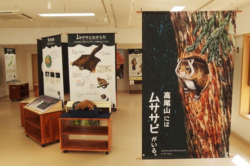 高尾ビジターセンターで新しい“TAKAO”を発見！高尾山の自然について学ぼう