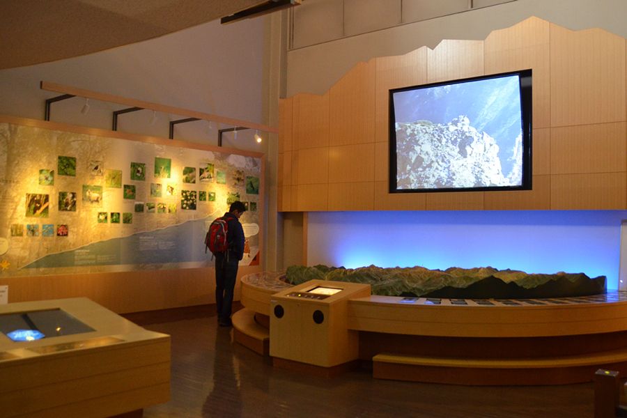 R⓮ɊւWȂ炱IuRRیZ^[v