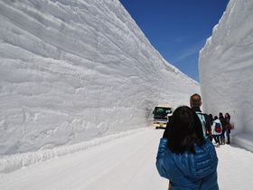 立山黒部アルペンルート「雪の大谷フェスティバル」で大迫力の雪壁を体感！室堂の春を楽しもう