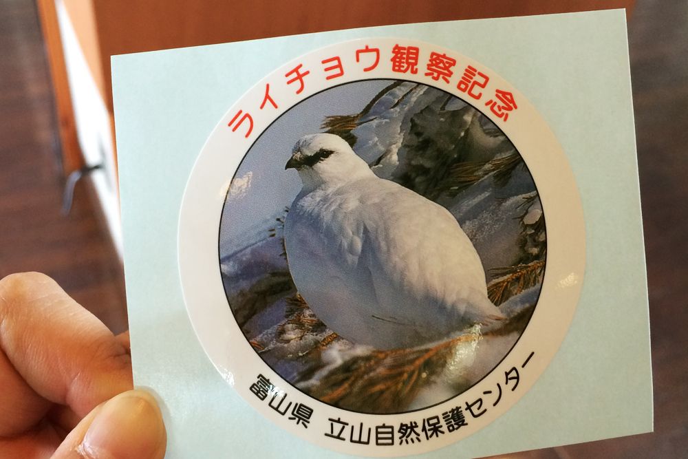 R⓮ɊւWȂ炱IuRRیZ^[v