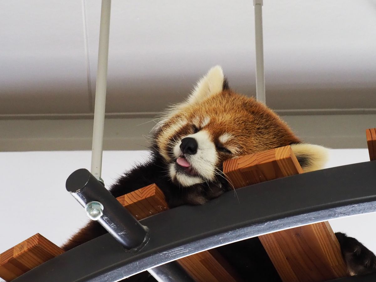 ƌIwтIy݂IȂȂւ̃AhoCX