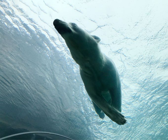 KIŒ̐glŁAzbLNO}ԋ߂Ŋώ@悤