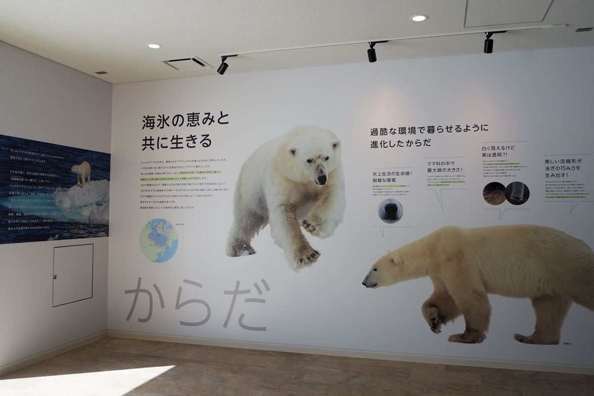 ƌIwтIy݂IȂȂւ̃AhoCX