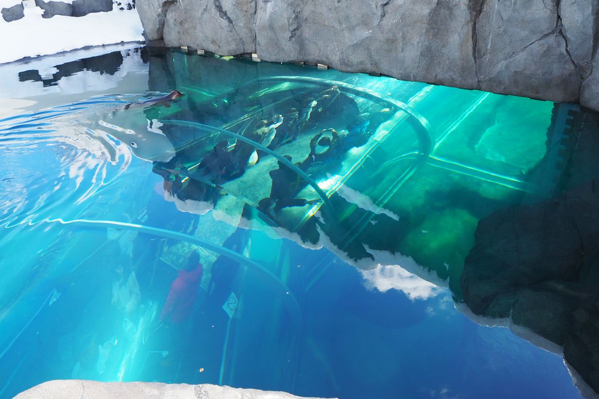 ̖{\Ăъo܂IHN}ƃAUV}ڋ߁II