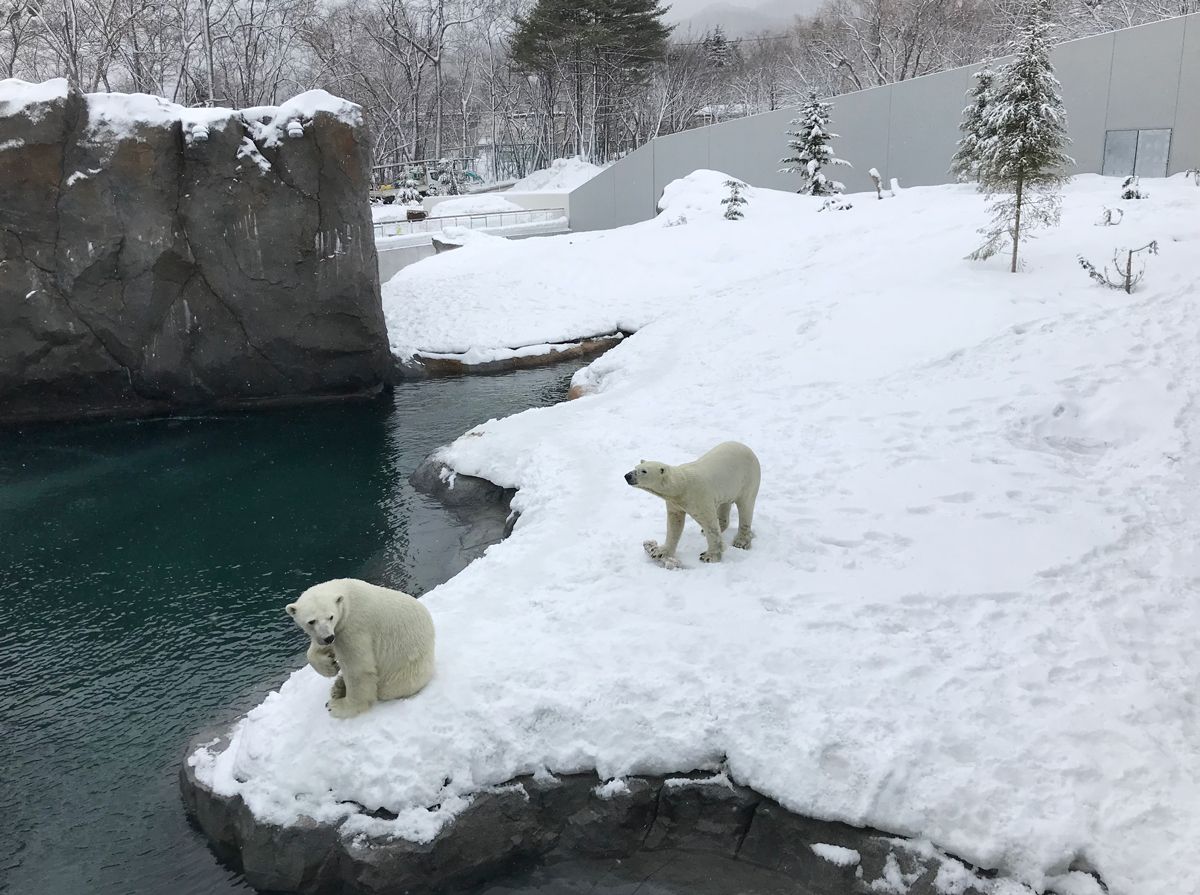 zbLNO}̂т̂тƉ߂鉮OW