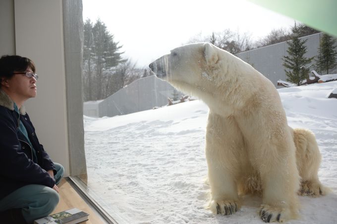 zbLNO}̂т̂тƉ߂鉮OW