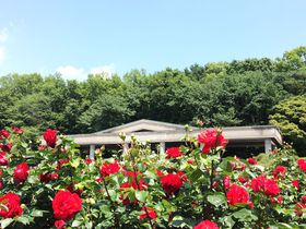 sőK͂́uotFX^vI_AőN₩ȉԁXy̋LTlC