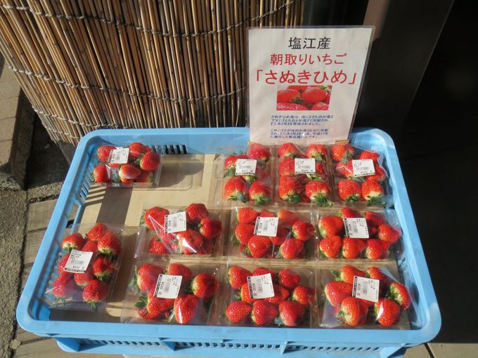 道の駅で人気の香川オリジナルいちご「さぬきひめ」