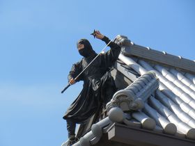 �C���͎��㌀�X�^�[�I�I�e�q�ŕϐg�����s�E���f���`�f�摺�̋L���T���l�C��