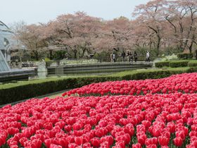 家族で花を愛でるならココ！子供も楽しい「京都府立植物園」