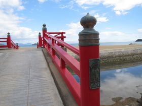 ���ʂ��s�u�Óc�̏����v�����X�|�b�g�߂���I�肢���E��������n��ƍő��Ŋ肢�������I�H�̋L���T���l�C��