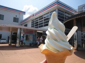 R}[VłLI܂Ȃ݊CủvHꌩw̋LTlC