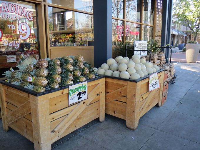 ZuʂlCX[p[ug[_[W[YiTrader Joefsjv