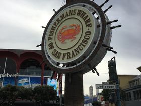 ŃV[t[hITtVXREtBbV[}Y[t̋LTlC