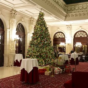 uC^[R`l^ p  Ovŉ߂ґŃGKgȃpI̋LTlC