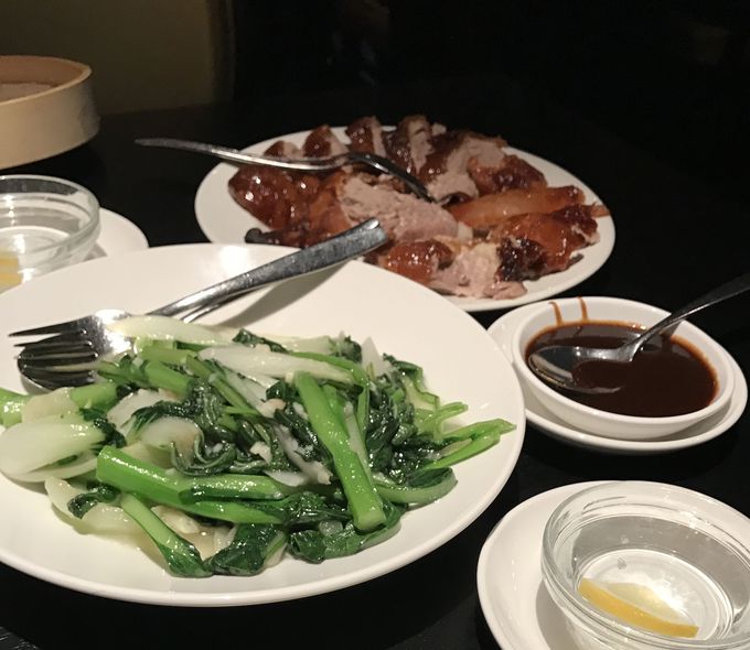 ͍`IH̖{i؃XgwSEA PALACEx