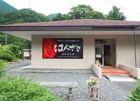 ȂIRuvŎRƕ̍ɖ悤I̋LTlC