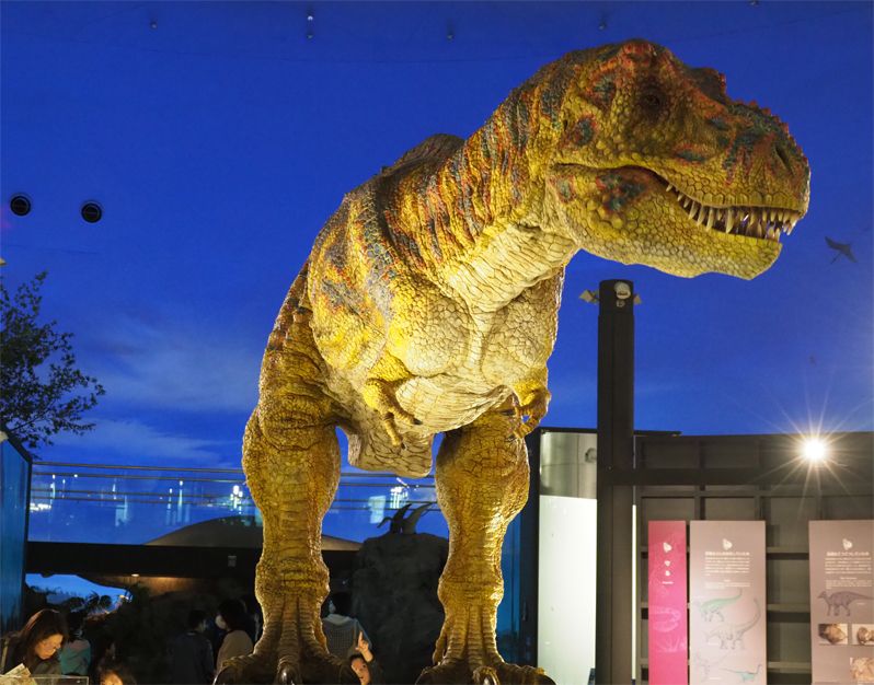 1．福井県立恐竜博物館