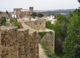 �u���܂̑��v�|���g�K���̃I�r�h�X�����S���e�̋L���T���l�C��