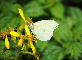 _̊yIuɐRvŔԂƒώ@悤I̋LTlC