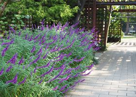 usssΉZ^[v͖̏ȐAI̋LTlC