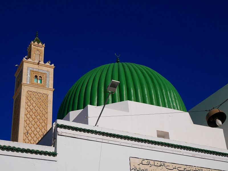 iu[̃X[Nisj⋌sX̎U􂪊yI