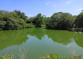 EYɓo^Is̐mVcˌÕ悤I̋LTlC