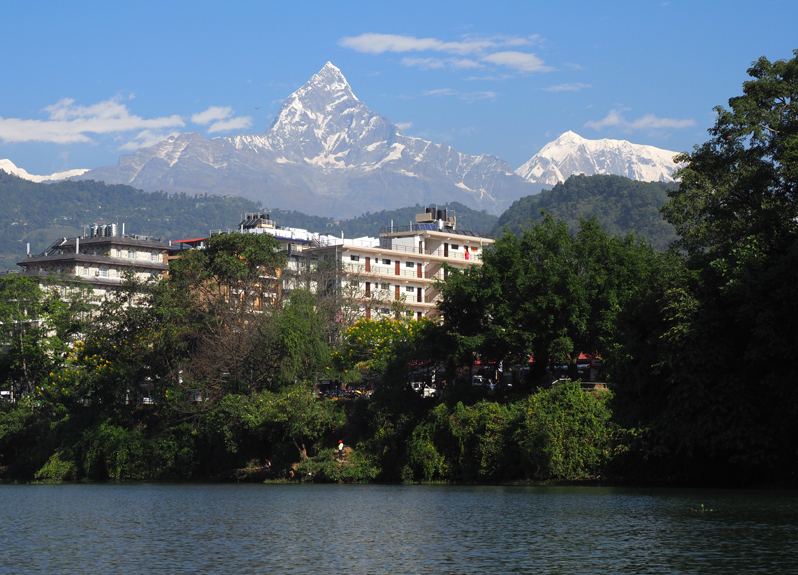 y΂Ń{[gɏAiviRQ̌iςyI