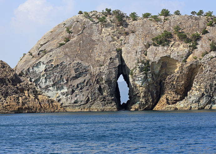 �ᏼ���̌��ǂ���