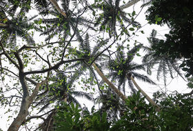 Ί_uČG}VQvŃfB[vȖ͂ɂ͂܂Ă݂悤I̋LTlC