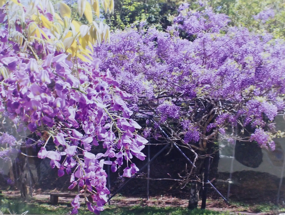k̊όX|bg