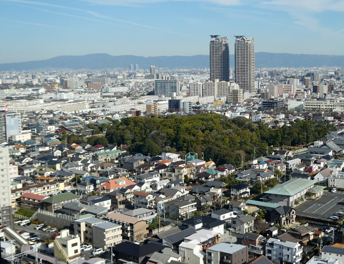 ��s�������w�ٍŏ�K����i�F�����悤