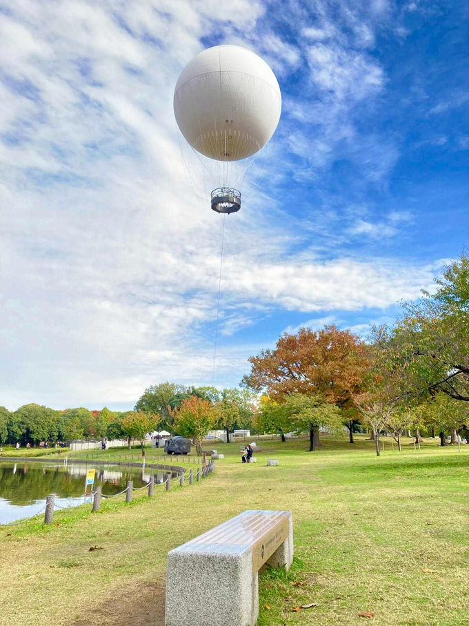 ����������o���[��