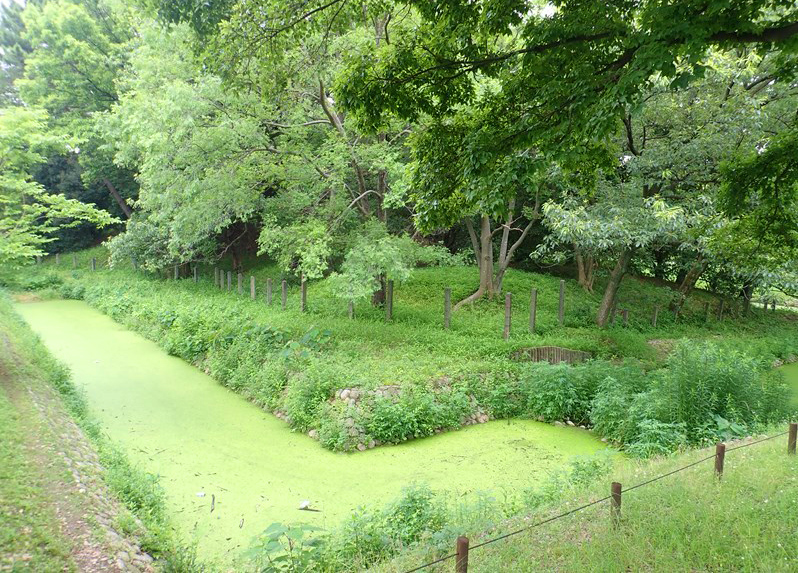 �������̎U�����y���߂܂�