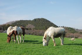 ��s������A�N�Z�X���ւȓ����̊y���I�_�ސ�u�����q��v���݂�ȂŊy�������̋L���T���l�C��