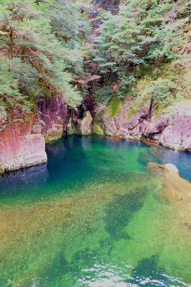 �_�C�i�~�b�N�Ȍk�J�̐��E�I�L���u�O�i���v�ւ悤�����I�̋L���T���l�C��