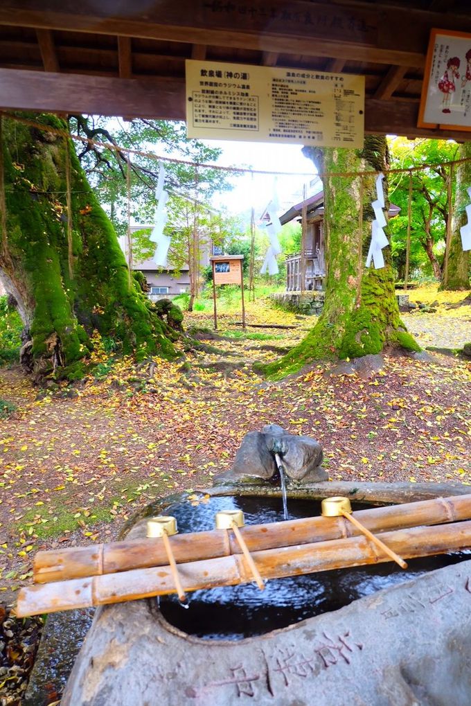鳥取 三朝温泉の無料足湯 飲泉巡りでパワーチャージ 鳥取県 トラベルjp 旅行ガイド