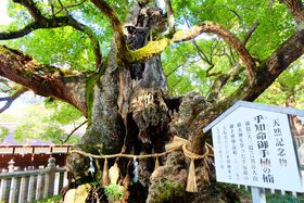 DȐ˓CɕԈQEOɒuR__Ёv̋LTlC