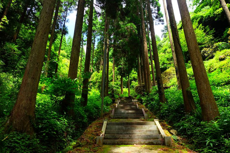 福岡・星野村の高台にそびえる静寂な「室山熊野神社」は心して参ろう