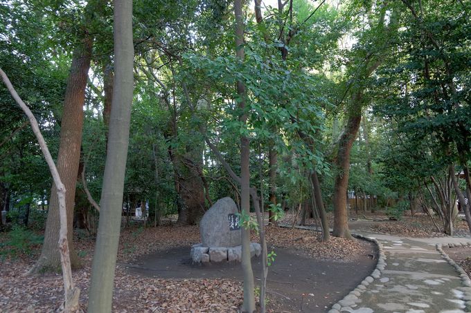 カップルや女子に人気 神戸三ノ宮 生田神社 で恋の行方を占う 水みくじ 兵庫県 トラベルjp 旅行ガイド